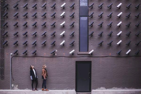 The Balancing Act: Privacy and Surveillance in India