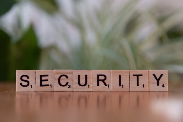Why Security Items Matter in India's Growing Market