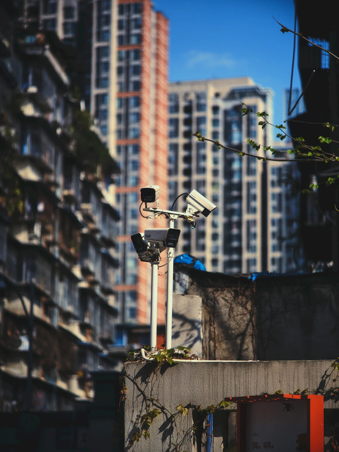 Maximize Security ROI: Why Investing in Security Systems Matters